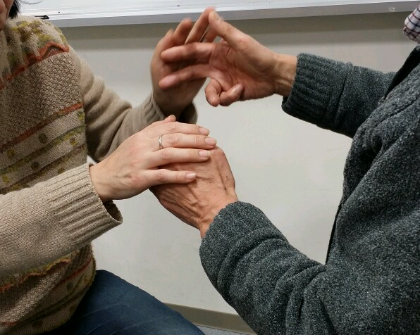 蝕手話