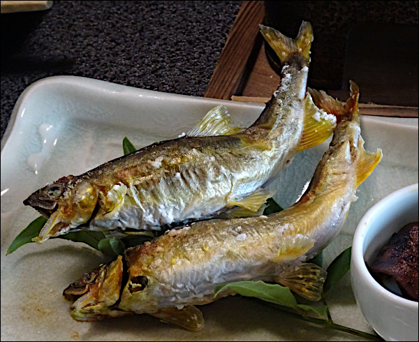 皿に鮎が二尾