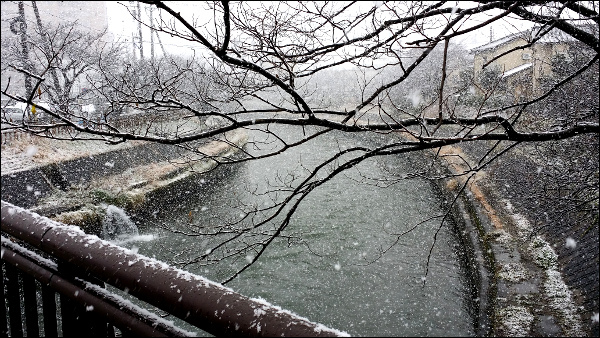 川沿いに舞う雪