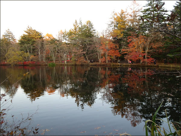 紅葉する木々と湖にくっきり写るその影