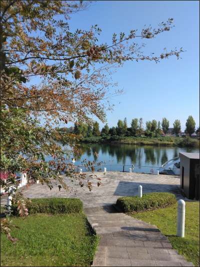 紅葉が始まった公園