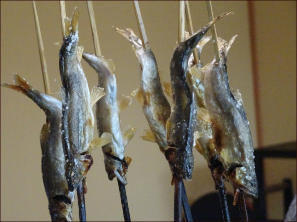 鮎の塩焼き